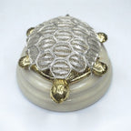 Spiritual Guardian: Silver Tortoise Vastu Charm