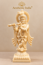 Ivory look alike Krishna