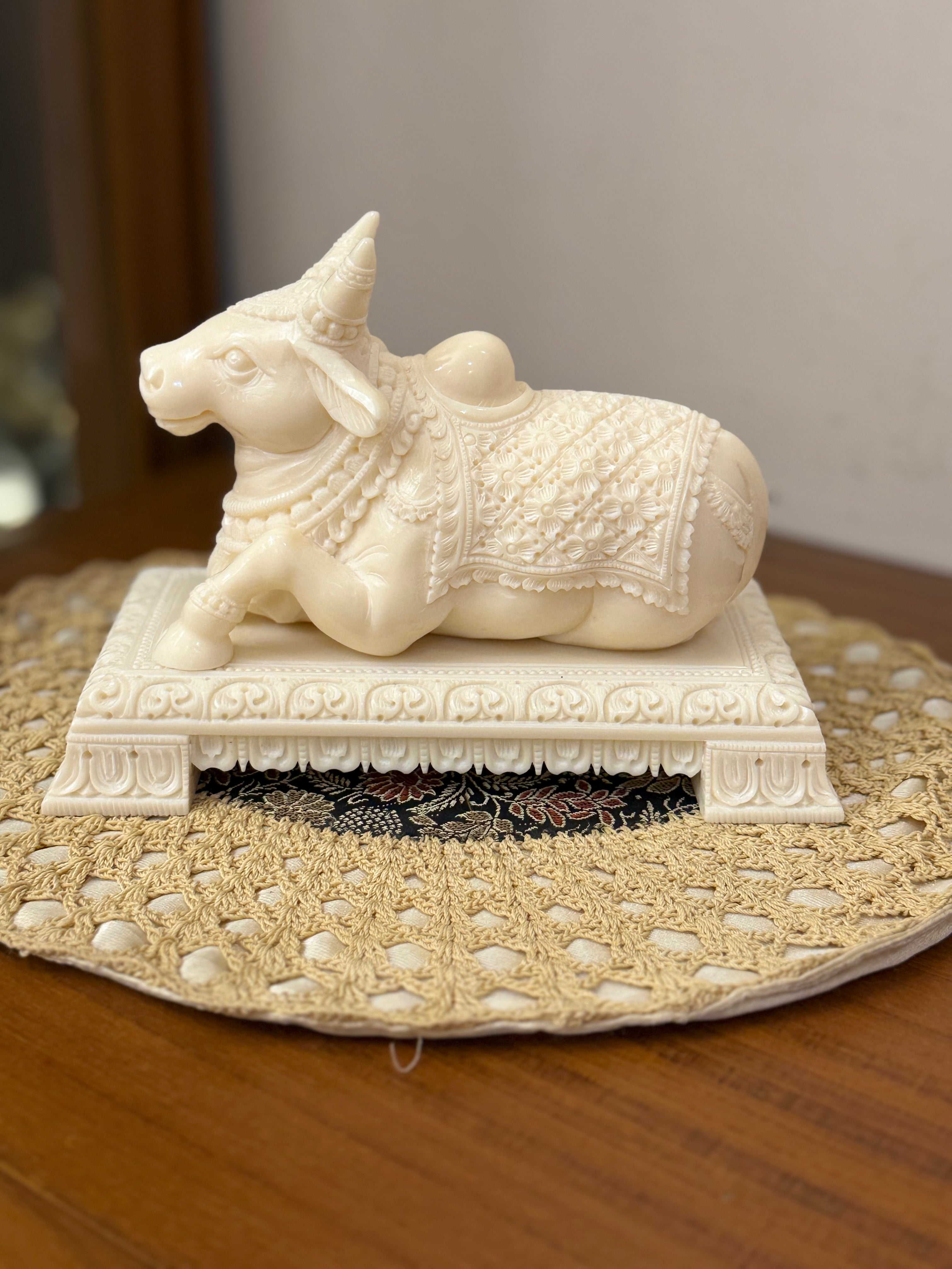 Ivory Look Alike Nandi