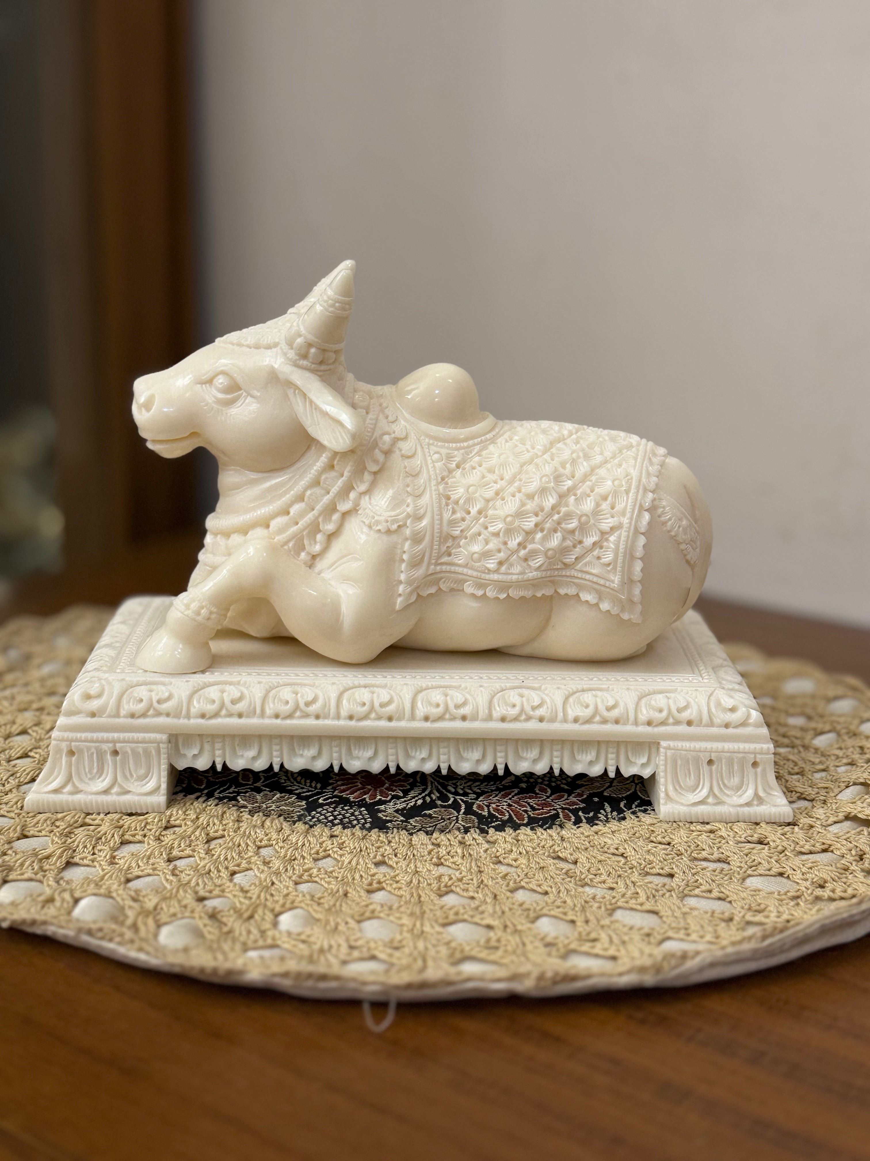 Ivory Look Alike Nandi