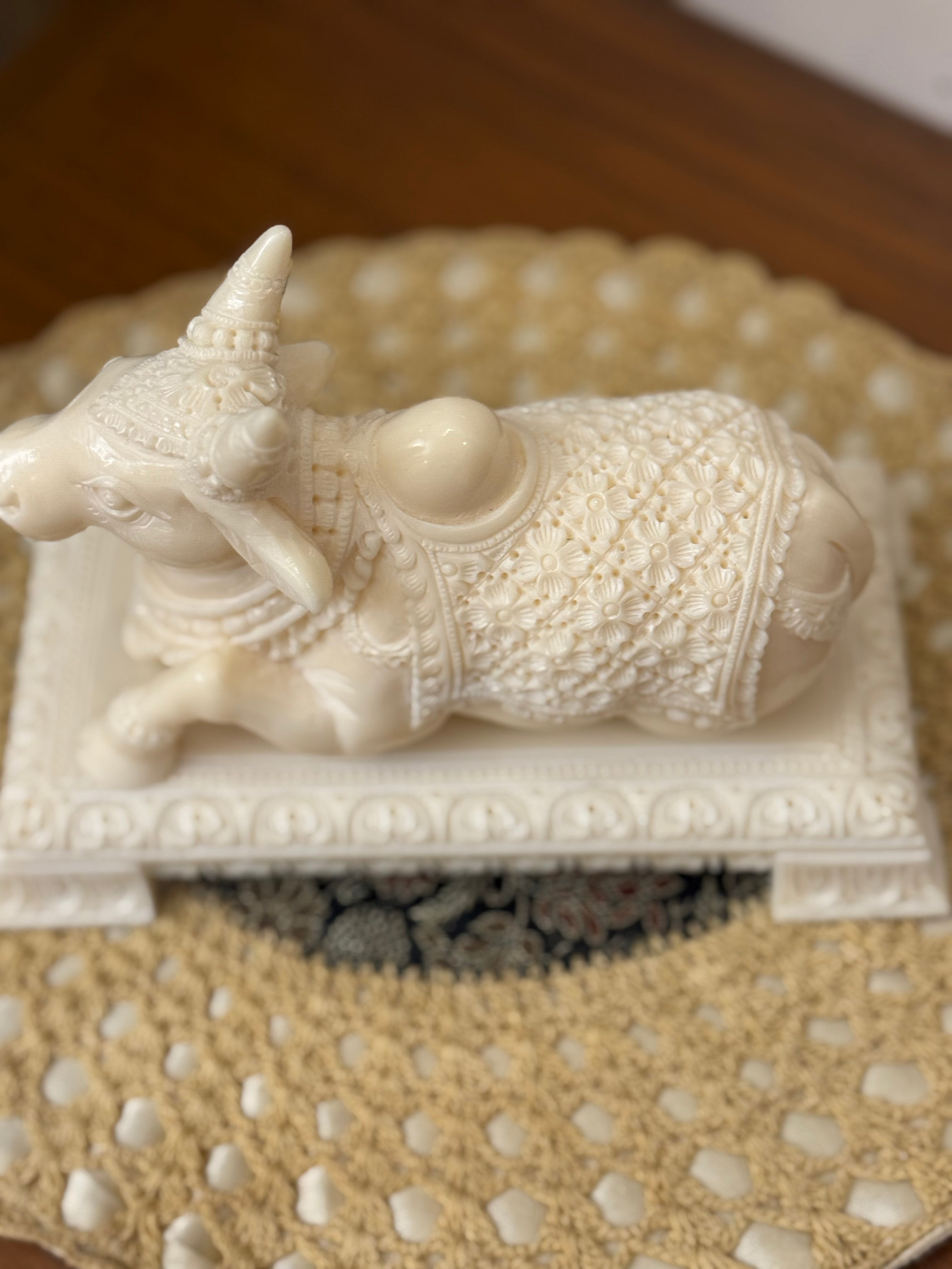 Ivory Look Alike Nandi