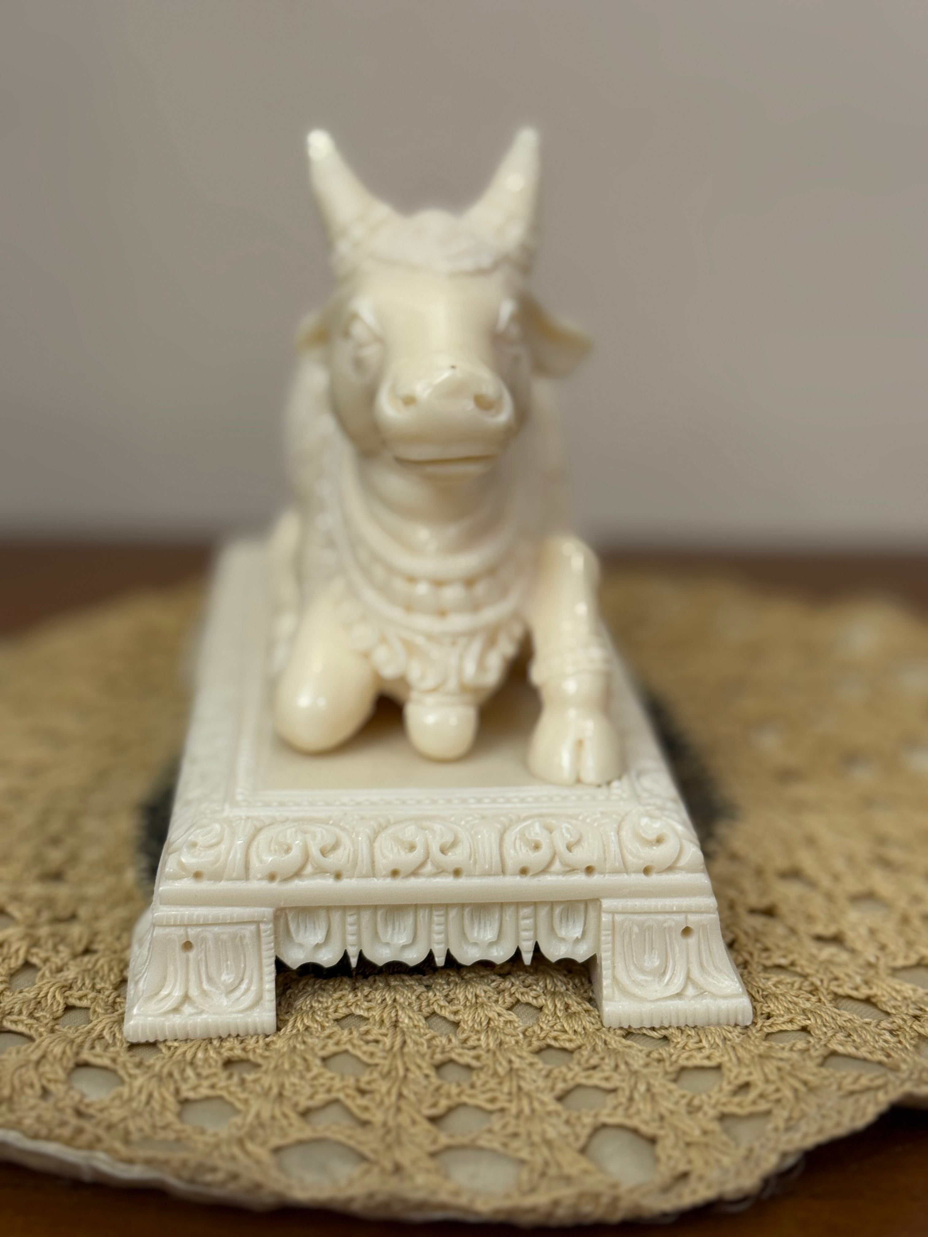 Ivory Look Alike Nandi