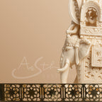 Intricate Cutwork Hauda